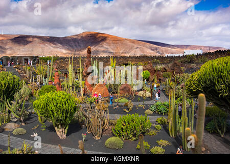 Jardin de Cactus. Cactus Garden designed by Cesar Manrique, Risco de las Nieves range, Guatiza. Lanzarote Island. Canary Islands Spain. Europe Stock Photo