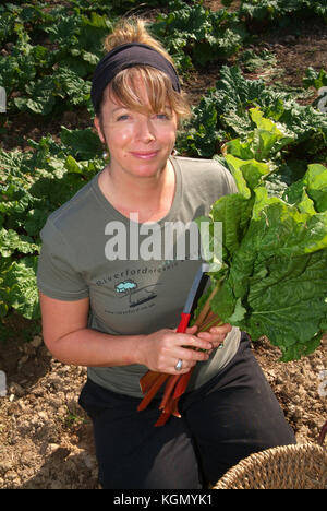 Riverford Field Kitchen, Totnes, Devonshire, with chef Jane Baxter, the restaurant, picking rhubarb, purple sprouting broccoli growing in the field, Stock Photo