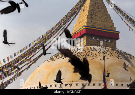 Birds flying around Boudhanath stupa in the Kathmandu Valley, Nepal Stock Photo