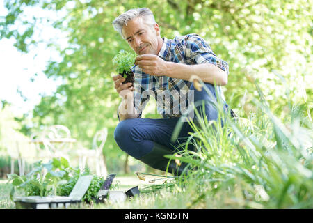 Mature man in garden planting new flowers Stock Photo