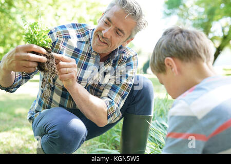 Father teaching son how to plant in vegetable garden Stock Photo