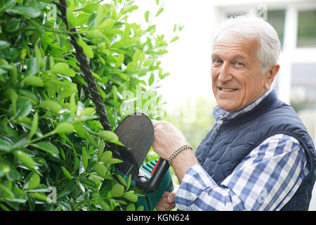 Senior man using hedge trimmer Stock Photo