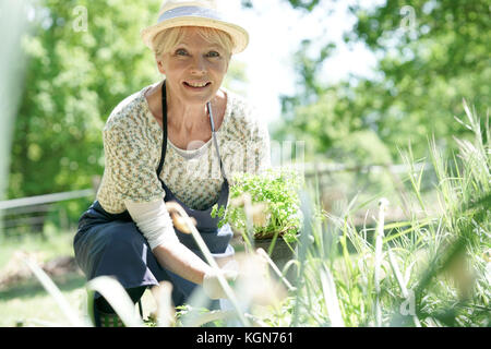Senior woman gardening on beautiful spring day Stock Photo