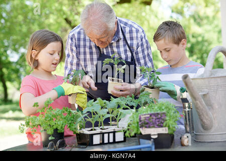 Kids helping grandpa with gardening Stock Photo