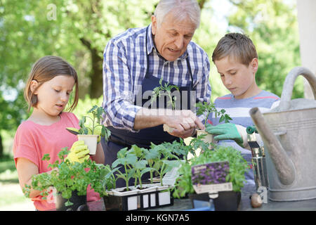 Kids helping grandpa with gardening Stock Photo