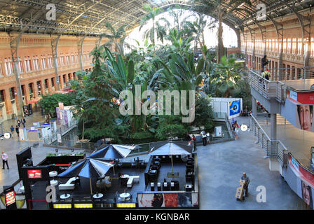 Tropical rainforest plants growing in garden inside Atocha railway station, Madrid , Spain Stock Photo