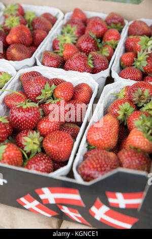 Danish Strawberries in summer, Gilleleje, Zealand, Denmark, Europe Stock Photo