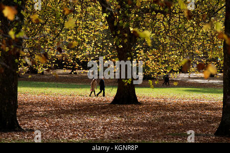 Green Park, London. 10th Nov, 2017. UK Weather. Joggers and walkiers enjoy the autumnal sunshine turning Green Park golden in the centre of London today. Credit: BRIAN HARRIS/Alamy Live News Stock Photo