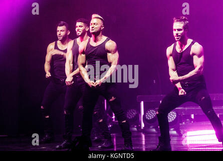 Hamburg, Germany. 10th Nov, 2017. Dancers of the Chippendales perform at the Mehr! theatre at the Grossmarkt in Hamburg, Germany, 10 November, 2017. Credit: Markus Scholz/dpa/Alamy Live News Stock Photo