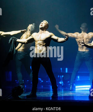 Hamburg, Germany. 10th Nov, 2017. Dancers of the Chippendales perform at the Mehr! theatre at the Grossmarkt in Hamburg, Germany, 10 November, 2017. Credit: Markus Scholz/dpa/Alamy Live News Stock Photo