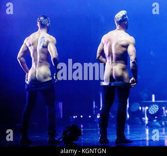 Hamburg, Germany. 10th Nov, 2017. Dancers of the Chippendales perform at the Mehr! theatre at the Grossmarkt in Hamburg, Germany, 10 November, 2017. Credit: Markus Scholz/dpa/Alamy Live News Stock Photo