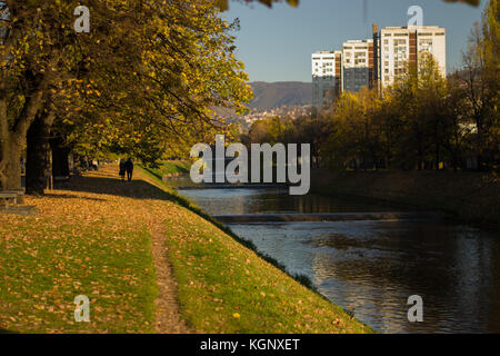 Couple walks down the path by the Miljacka river in Sarajevo, Grbavica in autumn Stock Photo