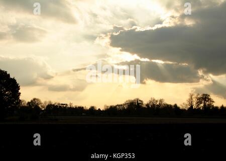 Evening sun behind dark grey clouds with shafts of sunlight and a skyline of sillouetted trees Stock Photo
