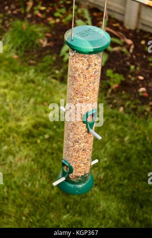 Green Plastic Bird Feeder Hanging In A British Garden Stock Photo
