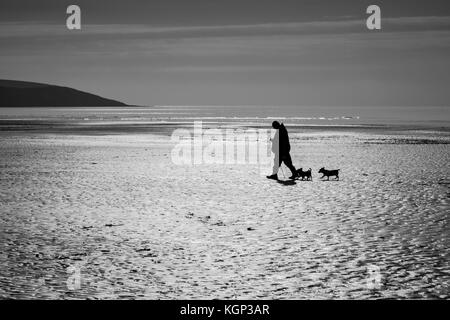 Black and white image of silhouette of dog walker / man walking with his two small dogs on Par beach in Cornwall, UK