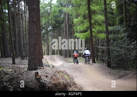 Mountain biking at Chicksands, Bedfordshire. Riders descending down a steep track littered with jumps and berms. Stock Photo