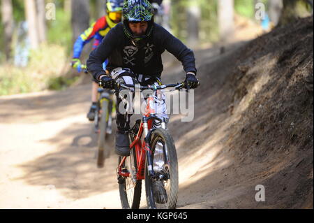 Mountain biking at Chicksands, Bedfordshire. Riders descending down a steep track littered with jumps and berms. Stock Photo