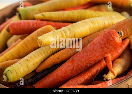 Random Pile of fresh, colorful carrots Stock Photo