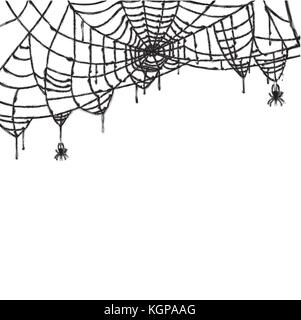 Spider and Web Isolated on White Background. Vector Illustration. Stock Vector