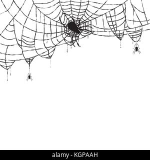 Spider and Web Isolated on White Background. Vector Illustration. Stock Vector