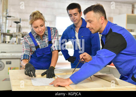 Students in woodwork training course with professional Stock Photo