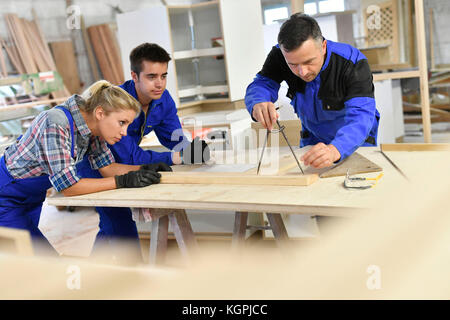 Students in woodwork training course with professional Stock Photo