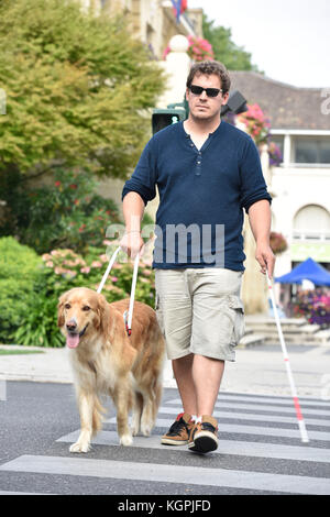 Blind man crossing the street with help of guide dog Stock Photo