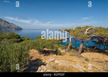Greece, Aegean Islands, Karpathos island, Diafani Stock Photo