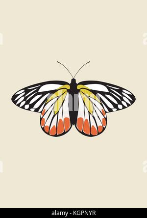 Butterfly Icon Vector Stock Vector