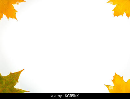 Autumn card of colored falling leafs isolated on white background Stock Photo