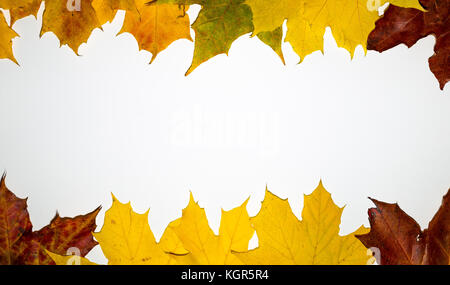 Autumn backdrop - frame composed of colorful autumn leaves over white ...