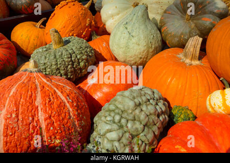 Pumpkins For Sale In Market Stock Photo