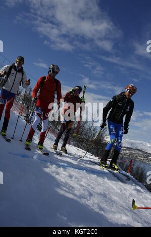 Skimountaineering World Cup Tromsø , Randonee Racing Stock Photo