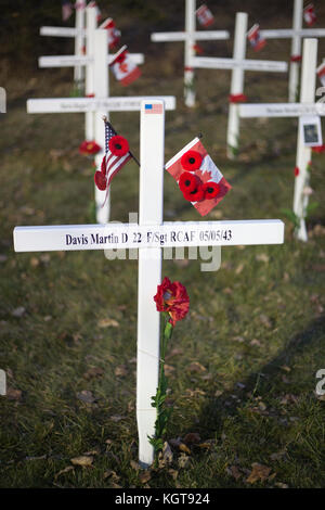 Field of Crosses memorial for fallen soldiers on Remembrance Day, with Canadian and American flags Stock Photo
