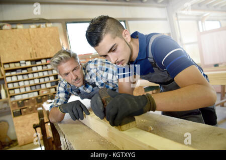 Carpenter with apprentice in training period Stock Photo