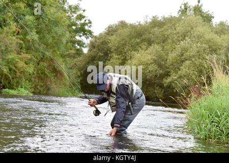 Fly-fisherman catching trout in irish river Stock Photo