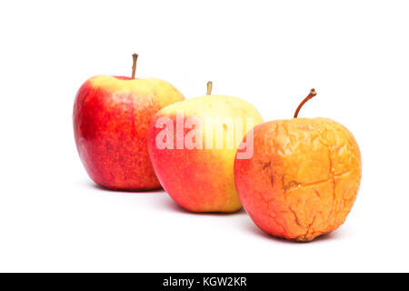 A picture of three ordinary apples, without modifications..as you know from the shop. The picture shows the maturing of the apples. Stock Photo