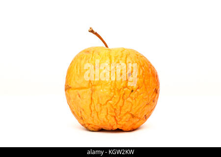 A picture of an ordinary apple, without modifications The apple is old, dry an not attractive. It is wrinkled and puckered. Stock Photo