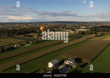 Pennsylvania farm fields with corn and alfalfa fields Stock Photo