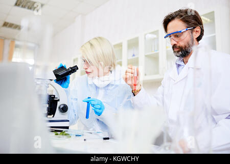 Two confident researchers working over new vaccine in chemical lab Stock Photo