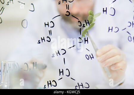 Modern biologist in gloves holding green plant in pincers behind transparent board with chemical formula Stock Photo