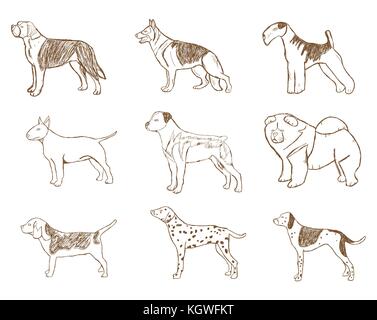 Dogs Set. Vector Illustration. Cartoon Sketch Isolated on White Background. Stock Vector