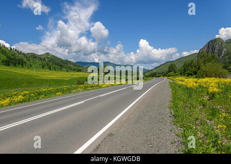 Bright picturesque view with the asphalt road, mountains, trees and meadows with yellow wildflowers on a background of blue sky and clouds Stock Photo