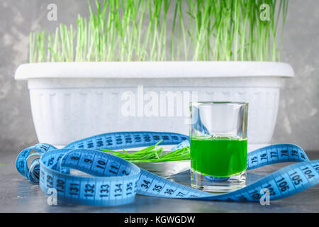 Wheatgrass shot. Juice from wheat grass. Trend of health Stock Photo