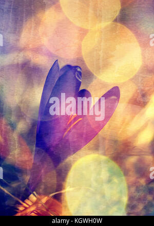 wild flower abstract watercolor oil painted image, pastel filter colored Stock Photo