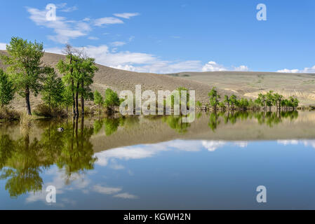 Bright beautiful steppe landscape with a lake and reflection in it hills, green trees, blue sky and clouds Stock Photo