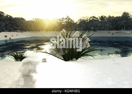 3d rendering of grass bunch with melting snow on it in front of frozen lake and snowy landscape with evening sunshine Stock Photo