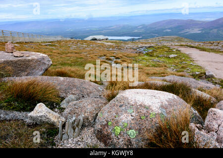 Summer views from the Cairn Gorm Mountain summit in the Cairngorm National Park, Scotland Stock Photo