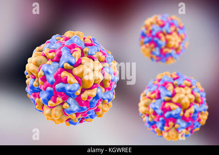 Rhinoviruses, computer illustration. The rhinovirus infects the upper respiratory tract and is the cause of the common cold. It is spread by coughs and sneezes. Stock Photo