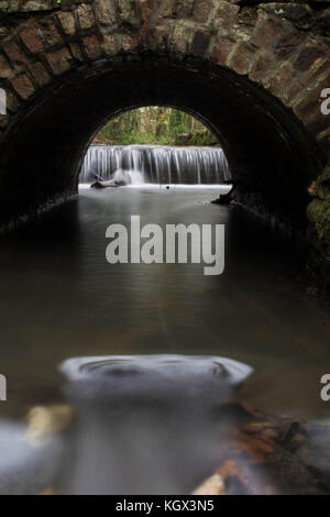 Water Under the Bridge - Tehidy, Cornwall, UK Stock Photo